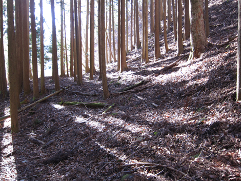 20200110hike (8)